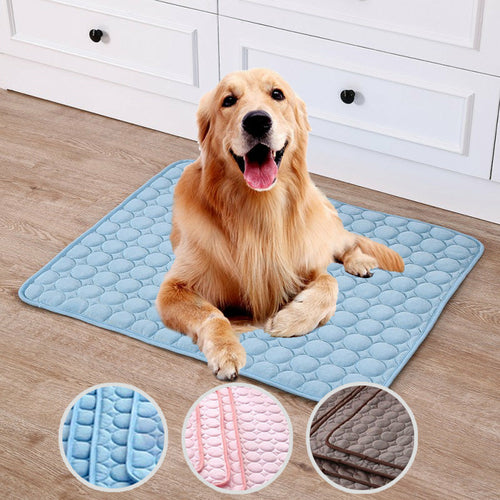 Cooling dog bed