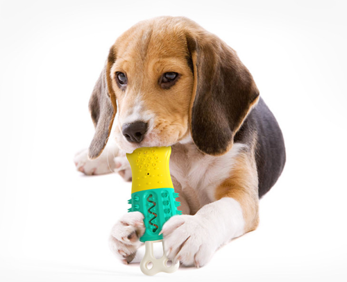 Tough Cooling Chew Toy for Dogs 🐶❄️